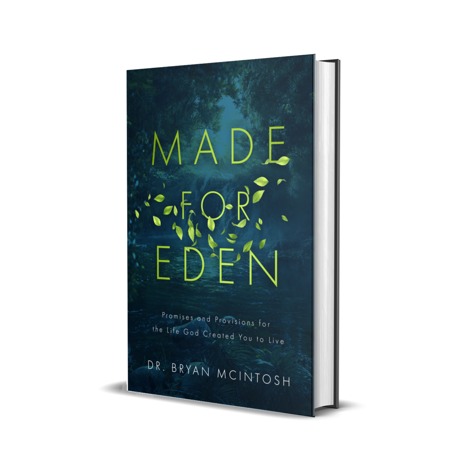 Custom Book Covers Hannah Linder Designs